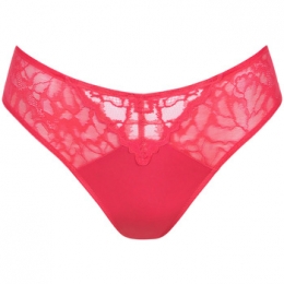 TangasLiscaBraziliaanslaaguitgesnedenNaty