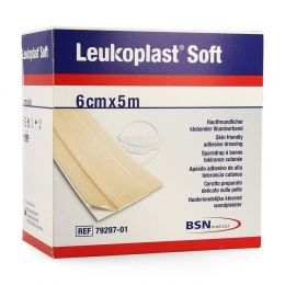 LeukoplastSoft5mx6cm1