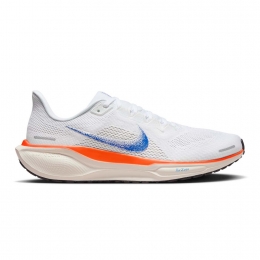 NikePegasus41Heren