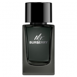 BURBERRYMrBurberryEaudeParfum