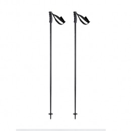 HeadMultiSkiStokken120