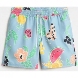 ZwembroekVans105primaryprintela