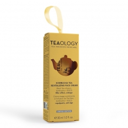 TeaologyTeaBoxKombuchaTea