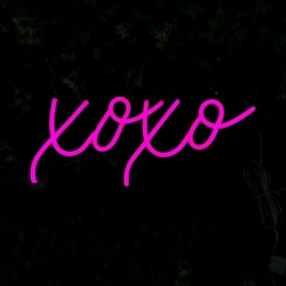 LEDNeonBordXoxoInclAdapter40x17cmRoze
