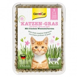 12xGimCatKattengras150gr