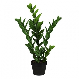 Zamioculcas65cmkunstbloemzijdenepbloemBuitengewoondeBoet-Buitengewoondeboet