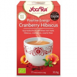 YogiteaPositiveEnergyBiologisch17stuks