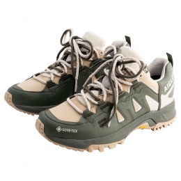 AigleDamesschoenenPariotaGTXgroenMaat37