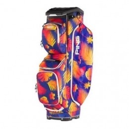 PingTraverse244