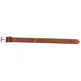 HUNTERHondenhalsbandCanadianUpbruinMaat40
