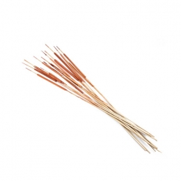 10KleineLisdodde70cm