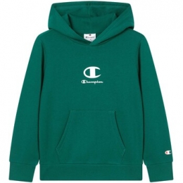 SweaterChampionHoodedSweatshirt