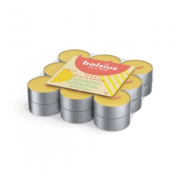 BolsiusTheelichtenCitronella4branduren