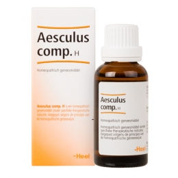 HeelAesculusCompositumH100ml