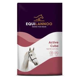 EquilannooActiveCube20kg