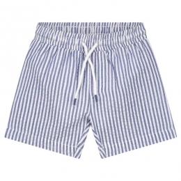 Prnatalkinderzwemshortstrepen