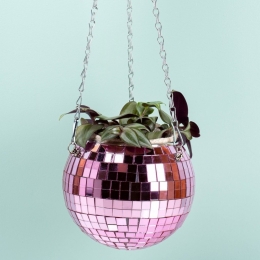 Hangendediscobalbloempot-Roze