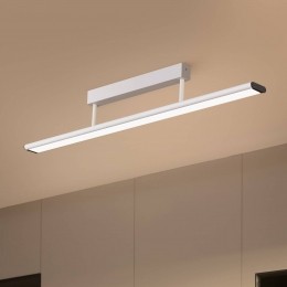 PriosYuelaLEDplafondlampDALI100cmzilver