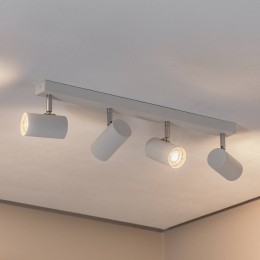 ArgonPlafondspotdaglichtwitchroomkleurigstaal4-lamps