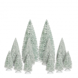 Bristletree12stuksh23xd8cm-Luville