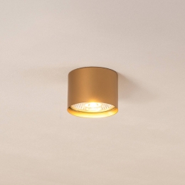 ArgonPlafondspotChloevastgoud