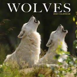 Kalender2026Wolf