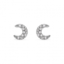 GUIAOorknopjes88313615