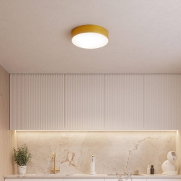 TEMARLIGHTINGPlafondlampCleo20cmIP54goudkleurigmetaalE27