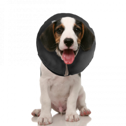 ZenpetProcollarXs