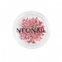 NEONAILTheMuseinYouCollection
