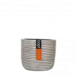 EipotRibI8x65ivoorCapiNature-Capieurope