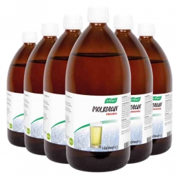 GratisVerzending6xAVogelMolkosan1000ml
