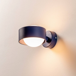 ArgonWandlampMadovanstaalblauw1-lamp