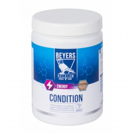 6xBeyersCondition600gr