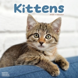 Kalender2026Kittens