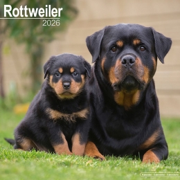 Kalender2026Rottweiler