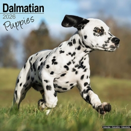Kalender2026DalmatirPuppies
