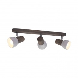 EnvostarNaleplafondspot3-lampsgrenengrijs