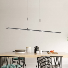 FISCHERHONSELMetzTWLEDhanglampCCTlengte160cmzwart