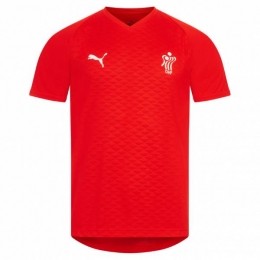 DenemarkenPUMAHandbalHerenShirt754913-01