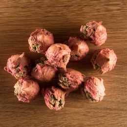 alsa-natureWild-Aalbes-praline250g