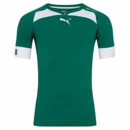 PUMAevoSPEEDIndoorHerenHandbalshirt701605-05