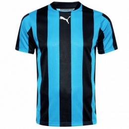PUMATeamkledingHerenShirt903295-02