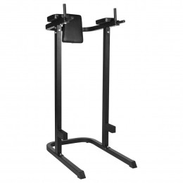DipstationPro-Zwart-belastbaartot120kg-GorillaSports