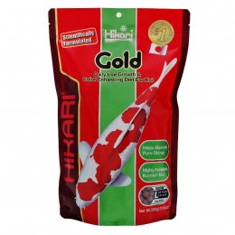 Goldlarge500grHikari-Hikari