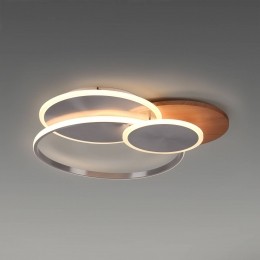 PaulNeuhausLEDplafondlampPalmahoutCCT65cmdimbaar
