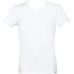 T-shirtLiscaT-shirtApolon