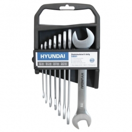 Hyundai595018-deligeSteeksleutelset-6-22mm