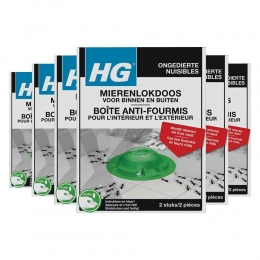 6xHGMierenlokdoos2stuks