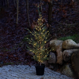 SiriusLEDboomMilasCedarTreeinpotvoorbuiten